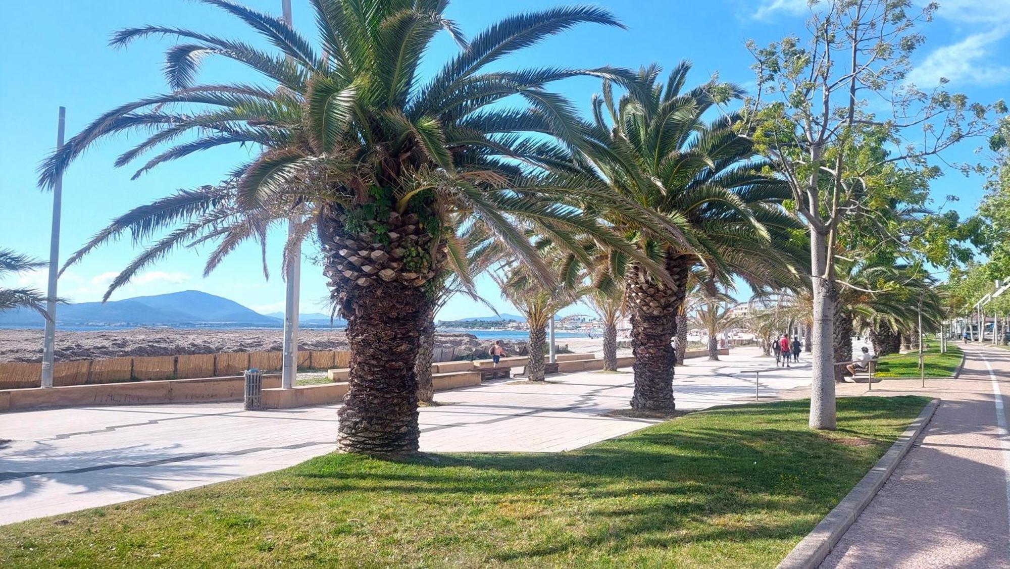Lovealghero Stanze In Attico Vista Mare Exterior photo
